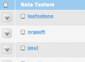Your Beta Testers